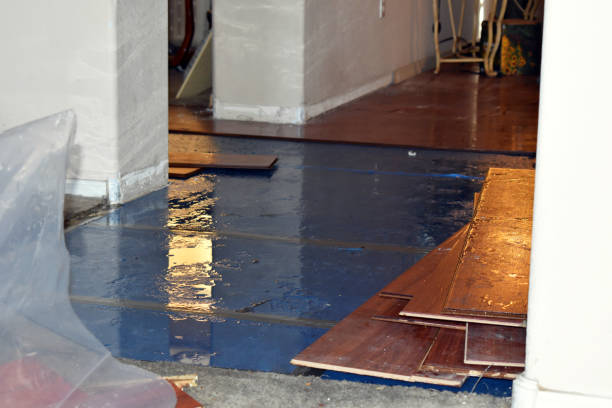 Professional Burst Pipe Cleanup technician working in Wampum, PA